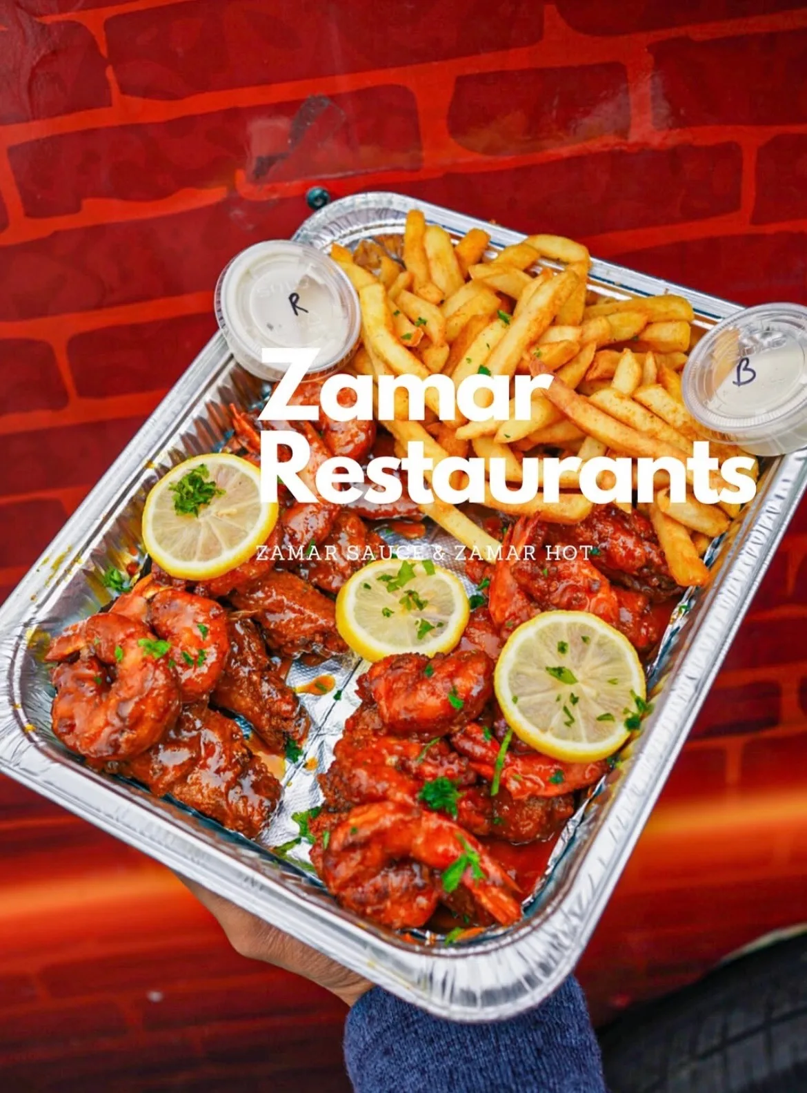 Zamar Wings