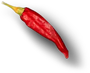 Zamar Wings