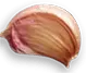 Zamar Wings