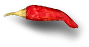 Zamar Wings